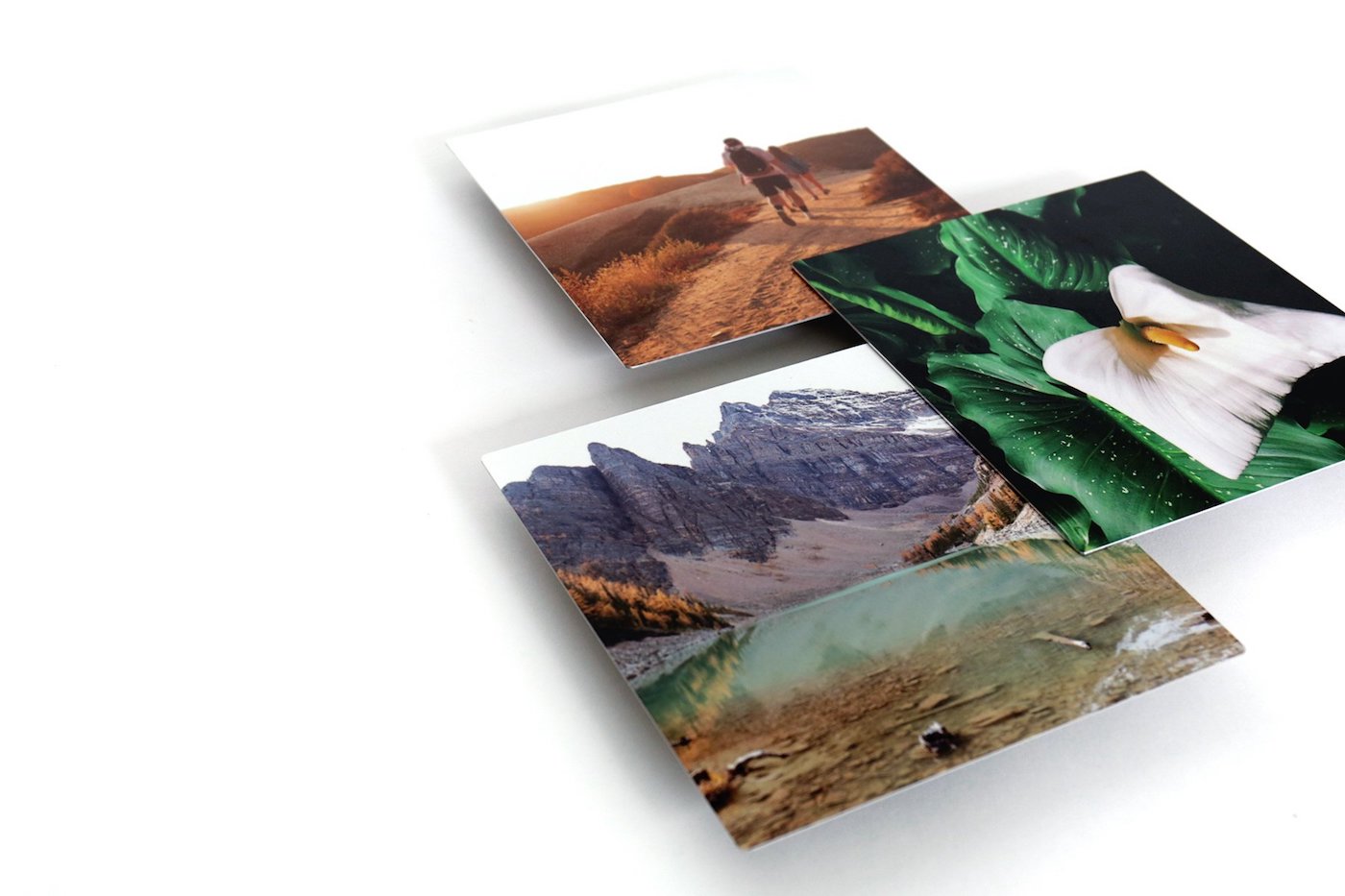 Metal Prints Print Your Photos on Metal Social Print Studio
