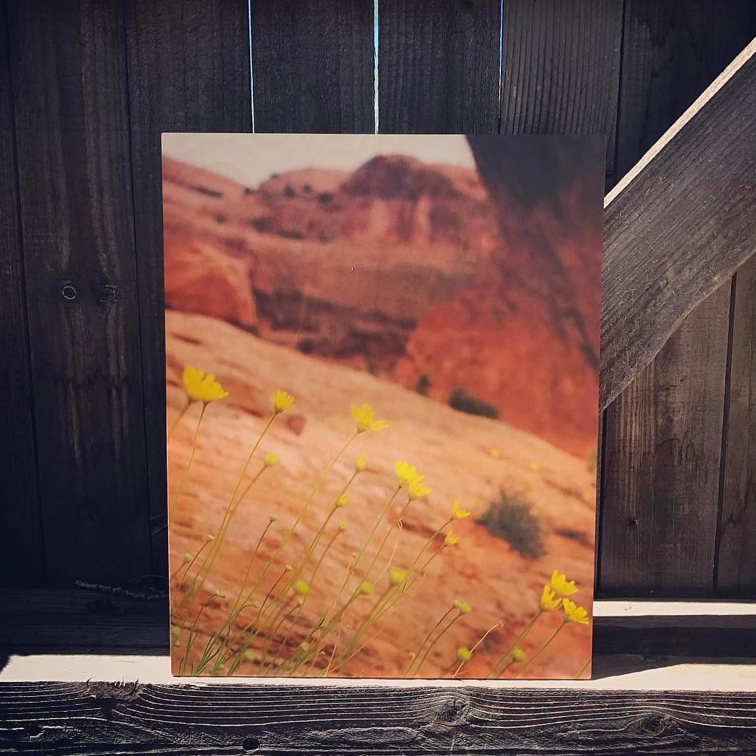 Wood Prints Print Photos on Wood Social Print Studio